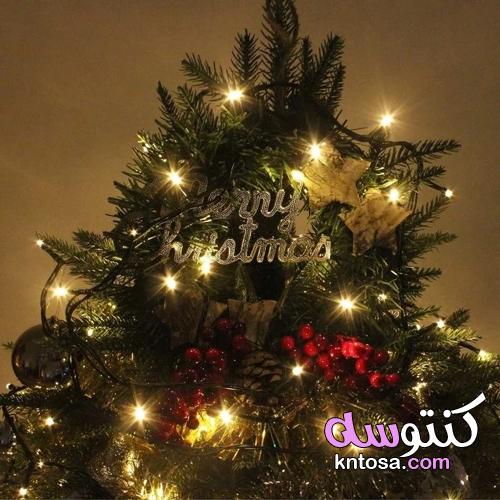 أفضل أضواء شجرة عيد الميلاد kntosa.com_08_21_163
