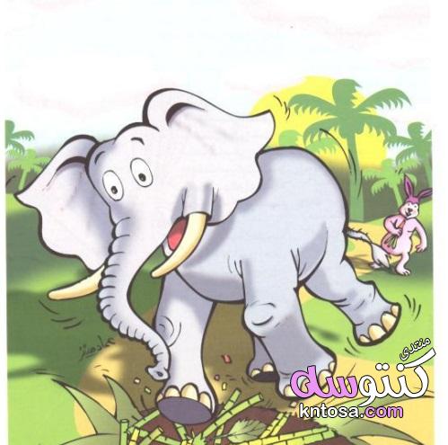 قصه الفيل والارنب الصغير , قصص قصيره مفيدة للأطفال , قصه الفيل والارنب kntosa.com_09_18_154