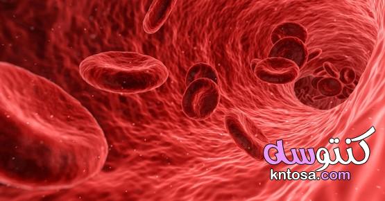 ما هو احمرار الدم kntosa.com_09_20_159