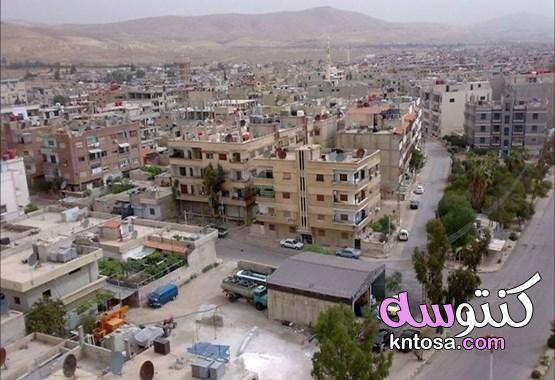 أهم المعلومات حول مدينة معضمية الشام kntosa.com_09_22_164
