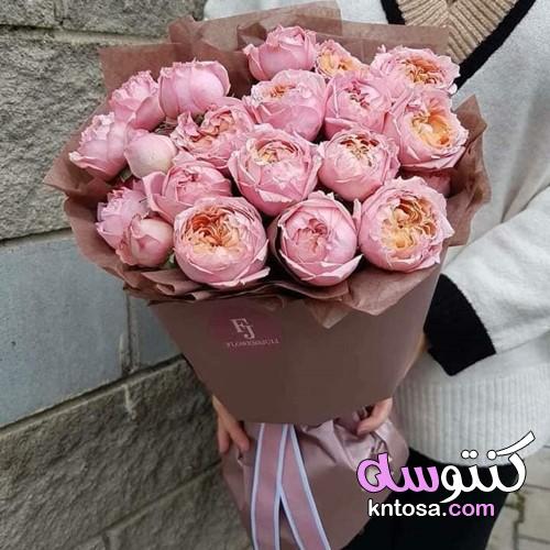 اجمل باقة ورد تهدى للحبيبة , اجمل الورود الرومانسية kntosa.com_10_19_156