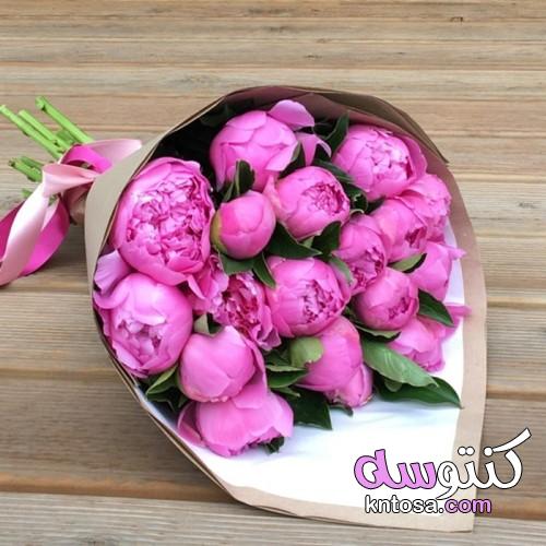 اجمل باقة ورد تهدى للحبيبة , اجمل الورود الرومانسية kntosa.com_10_19_156
