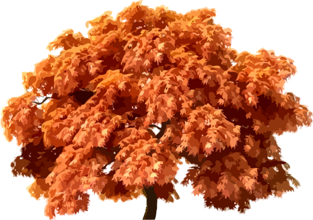     ݡ  2019,   Autumn Trees Clipart