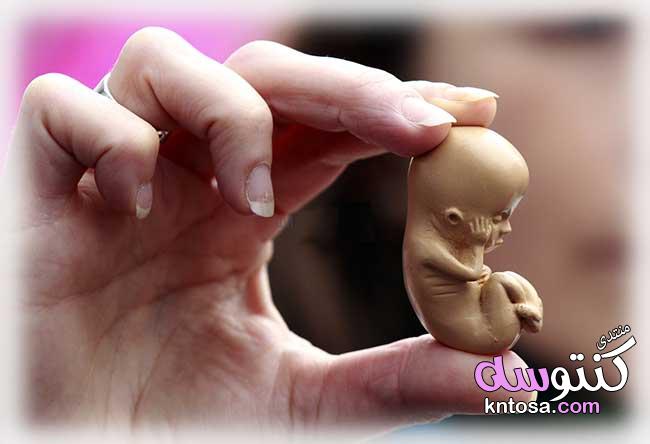 علامات الاجهاض في الاسبوع الاول,علامات تنذر بحدوث إجهاض مبكر,مدة الاجهاض المنذر kntosa.com_11_19_154