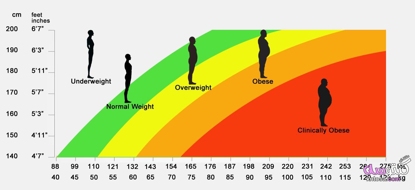 طريقة حساب مؤشر كتلة الجسم ومعرفة الوزن المثالي kntosa.com_11_19_155