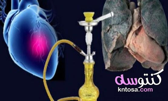 الشيشة تهدد بسرطان الرئة ،ما هي السجائر الالكترونية واضرارها وهل هي بديل للتدخين kntosa.com_11_19_156