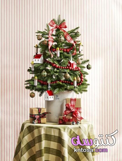 أفكار تزيين شجرة عيد الميلاد،أفضل زينة شجرة عيد الميلاد لمحاولة هذا العام kntosa.com_11_19_157