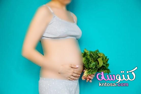 تطور الأم والجنين في كل ثلاثة أشهر من الحمل kntosa.com_11_20_158