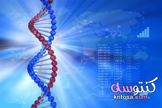 تحليل الجينات | اهم أنواع تحليل الجينات kntosa.com_11_21_163