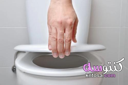 ماذا تعرف عن مقاعد المراحيض kntosa.com_11_21_163