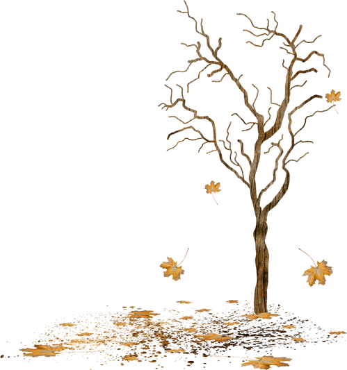 سكرابز أشجار للتصميمات بدون تحميل,سكرابز اشجار الخريف2019,سكرابز أوراق الخريف الصفراء بجوده عالية kntosa.com_12_18_154