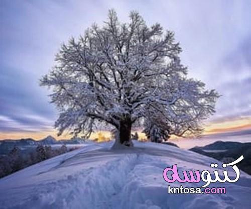صور عن الشتاء أحلي خلفيات وصور لفصل الشتاء بجودة hd،صور شتوية2020 kntosa.com_12_19_157
