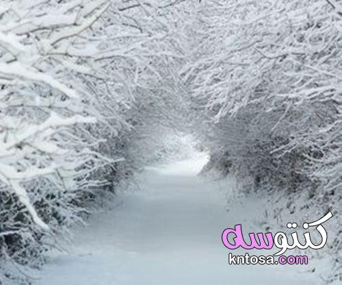 صور عن الشتاء أحلي خلفيات وصور لفصل الشتاء بجودة hd،صور شتوية2020 kntosa.com_12_19_157
