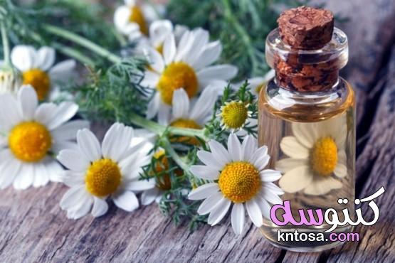 فوائد مستحضرات التجميل النباتية kntosa.com_12_20_160