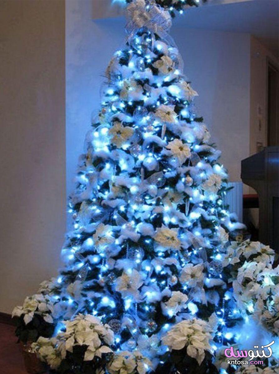 Christmas - New Year Frames 2021،طرق تزيين شجرة عيد الميلاد للعام الجديد 2021 kntosa.com_12_20_160