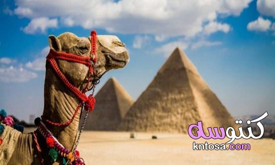 بحث عن السياحة في مصر