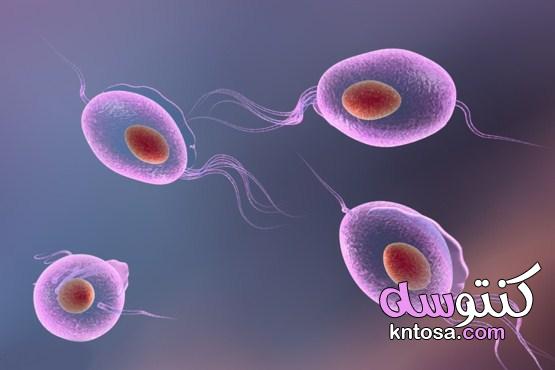 أنواع التريكوموناس وطرق علاج داء المشعرات kntosa.com_12_21_163
