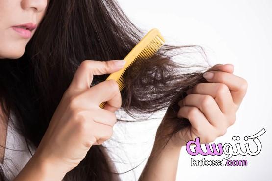 5 علامات على شعرك تتضرر وكيفية اختباره kntosa.com_13_19_157