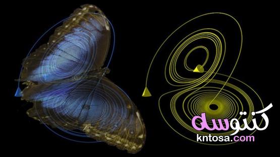 معلومات عن نظرية تأثير الفراشة kntosa.com_13_20_158