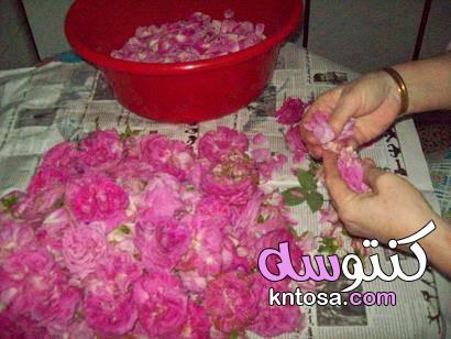 مربى الورد الجوري jam of roses,طريقة عمل مربي الورد في المنزل - منتدى كنتوسه kntosa.com_13_20_160