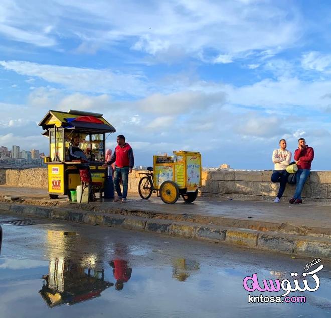 بالصور الاسكندرية في الشتاء من تصويري 2019 kntosa.com_14_19_154