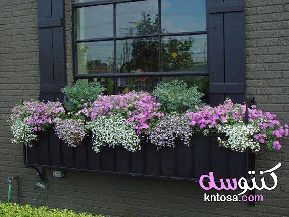 زيني نوافذ منزلك بالزهور kntosa.com_14_19_156
