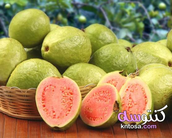 كشف 4 فوائد من بذور الجوافة لصحة المرشح الأمهات kntosa.com_14_20_157