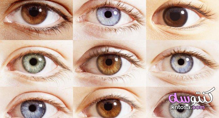 كيف يكشف لون العيون عن سمات الشخصية؟ kntosa.com_14_20_160