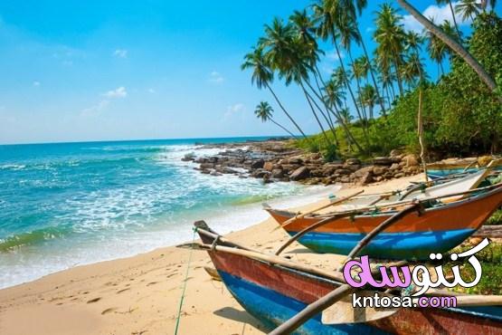 أفضل وقت للسفر إلى سريلانكا | وافضل الأماكن السياحية بها kntosa.com_14_21_162