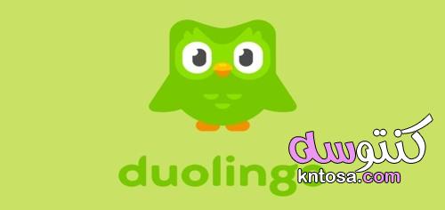 مميزات وعيوب برنامج دولينجو Duolingo kntosa.com_14_21_163