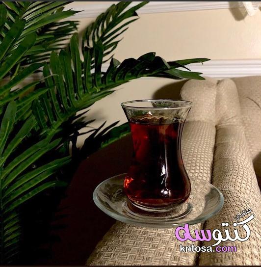 يوم الشاي العالمي,الشاي صديق فصل الشتاء المفضل kntosa.com_15_18_154