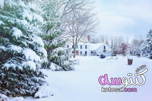 الشتاء والرومانسية, اجمل الصور لفصل الشتاء2019,احلى صور شتاء انستقرام kntosa.com_15_18_154