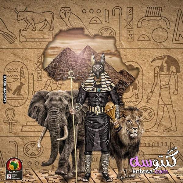 بالصور تصميم مصرى بمناسبة أمم أفريقيا 2019 ابداع kntosa.com_15_19_154
