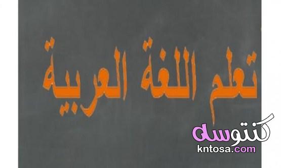 اهمية تعلم اللغة العربية kntosa.com_15_21_163