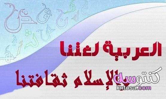 اهمية تعلم اللغة العربية kntosa.com_15_21_163