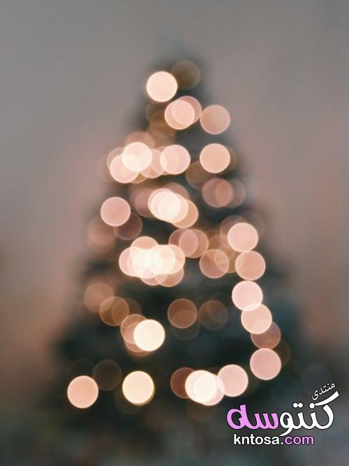 اشكال جميله لشجرة الميلاد2019,شجرة الكريسماس زينة راس السنة,ديكور شجرة عيد ميلاد kntosa.com_16_18_154