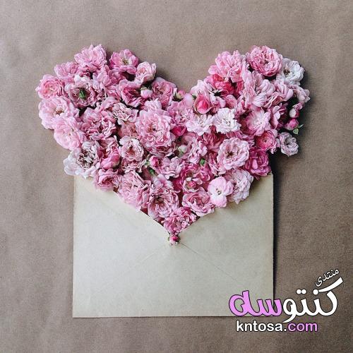 اشكال باقات ورد هدايا,اجمل باقات الورد،اهديها لمن تحب,باقات الورود الجميلة,اجمل باقات الورود kntosa.com_16_19_155