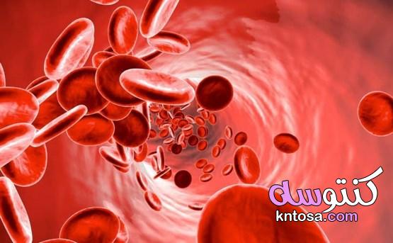 فقر الدم.. الوقاية وطرق العلاج نقل الدم 2020 kntosa.com_16_20_157