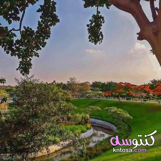 بالصور رحلتى داخل حديقة الأسرة_ Family park،حديقة الأسرةمكان جديد ومختلف في قلب القاهرة kntosa.com_16_20_157