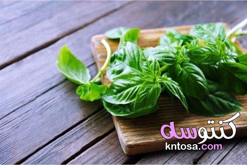 المطبخ: النباتات العطرية لتكون في متناول يدك kntosa.com_16_21_163