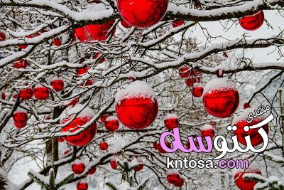 خلفيات الكريسماس 2019,صور السنة الجديدة,بطاقات تهنئة كريسماس Merry Christmas,صور عيد رأس السنه 2019 kntosa.com_17_18_154