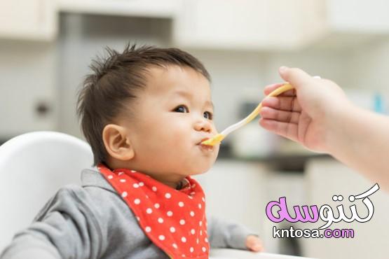دليل لاختيار أفضل غذاء أولي للأطفال بعمر 6 أشهر kntosa.com_17_20_157