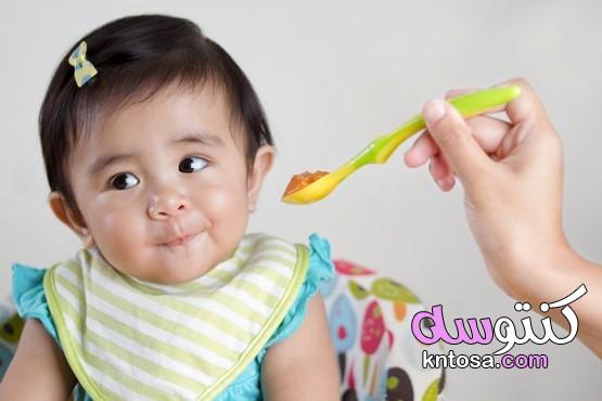 دليل لاختيار أفضل غذاء أولي للأطفال بعمر 6 أشهر kntosa.com_17_20_157