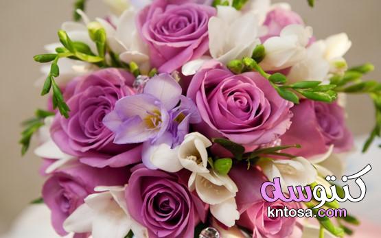 باقات الزهور الجميلة،اجمل باقة ورد رومانسية،اجمل باقات الورد الطبيعي kntosa.com_17_21_161