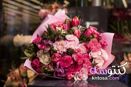 باقات الزهور الجميلة،اجمل باقة ورد رومانسية،اجمل باقات الورد الطبيعي kntosa.com_17_21_161