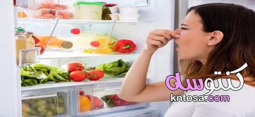 5 أطعمة تفسد رغم حفظها في الثلاجة.. تعرفي على الأسباب kntosa.com_17_21_163