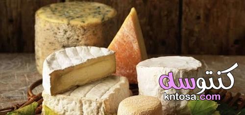 طريقة حفظ الجبنة البيضاء في الفريزر kntosa.com_17_22_164