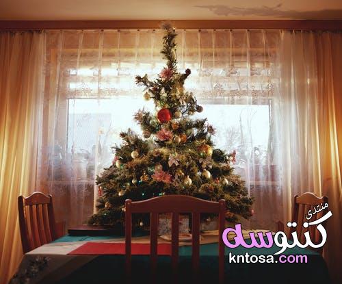 احلى شجرة كريسماس,شجرةه الكريسماس2019,اروع شجرة للكريسماس وحصرى,انواع مختلفه لشجرة الكريسماس kntosa.com_18_18_154