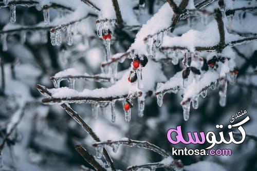 صور خلفيات عن الشتاء للفيس بوك,صور لعشاق فصل الشتاء,صور مطر الشتاء2019 kntosa.com_18_18_154