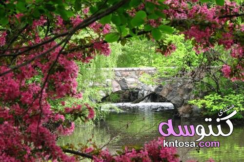 صور طبيعية جذابة لفصل الربيع hd 2019 , أجمل صور حدائق وأزهار الربيع 2019 kntosa.com_18_19_155